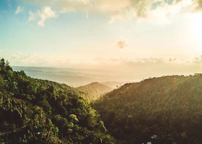 Desa Eko Campismo de Luxo Munduk