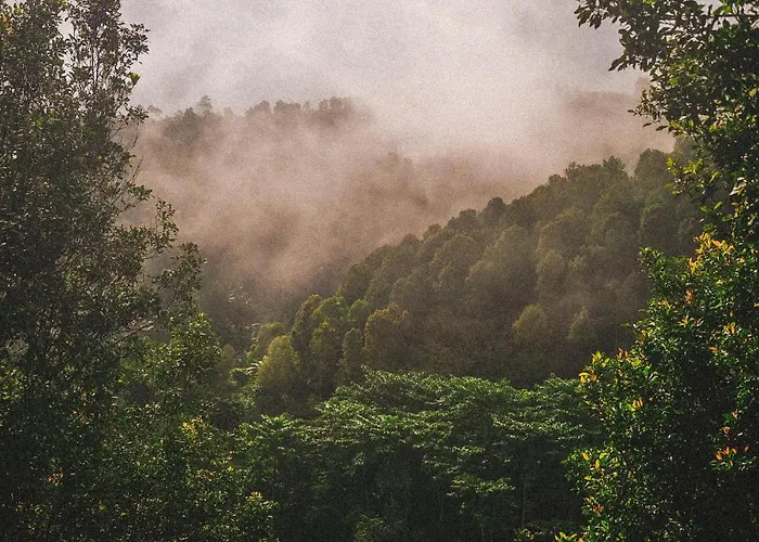 Desa Eko Munduk