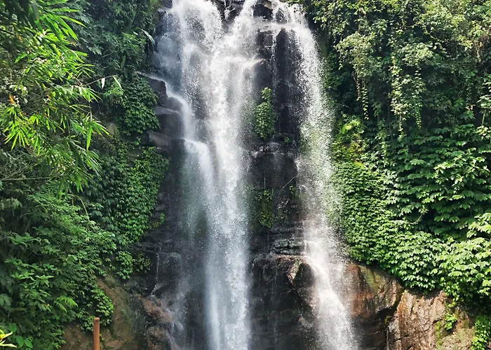 Desa Eko