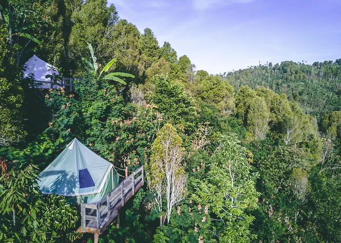 Desa Eko Campismo de Luxo